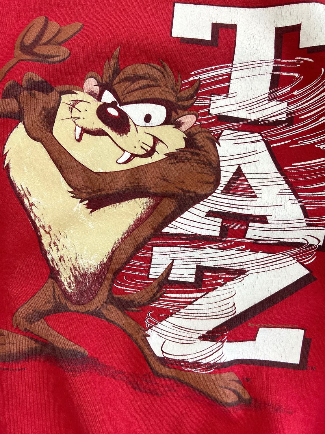 90's 워너브로스 테즈 스웻셔츠 상품이미지4