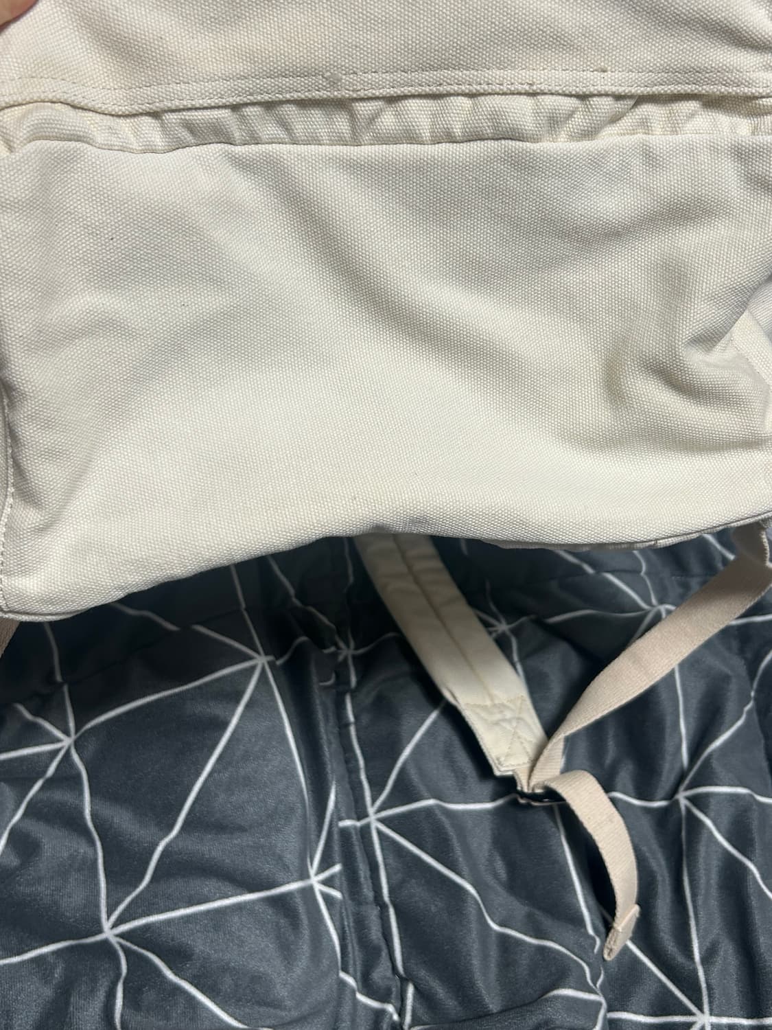 스투시 캔버스 백팩 상품이미지4