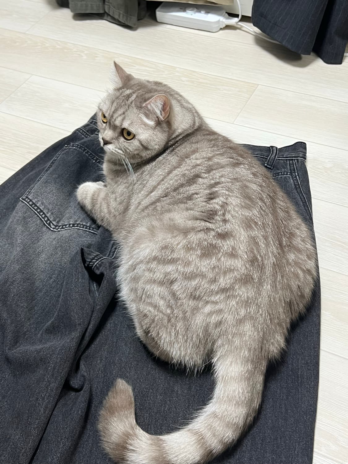 낫포너드 린넨 커브드 데님m 상품이미지4