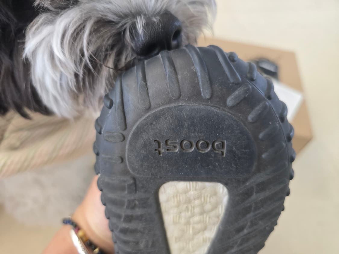 이지 부스트 350 V2  상품이미지4