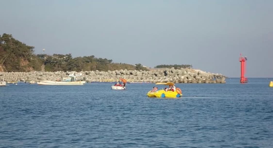 소니 사이버샷 dsc w220 핑크 풀구성 상품이미지4