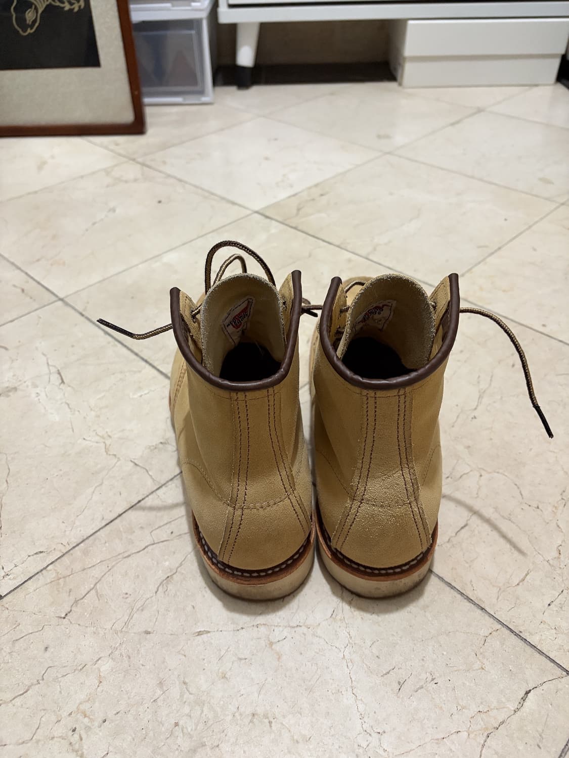 레드윙 8833 상품이미지2