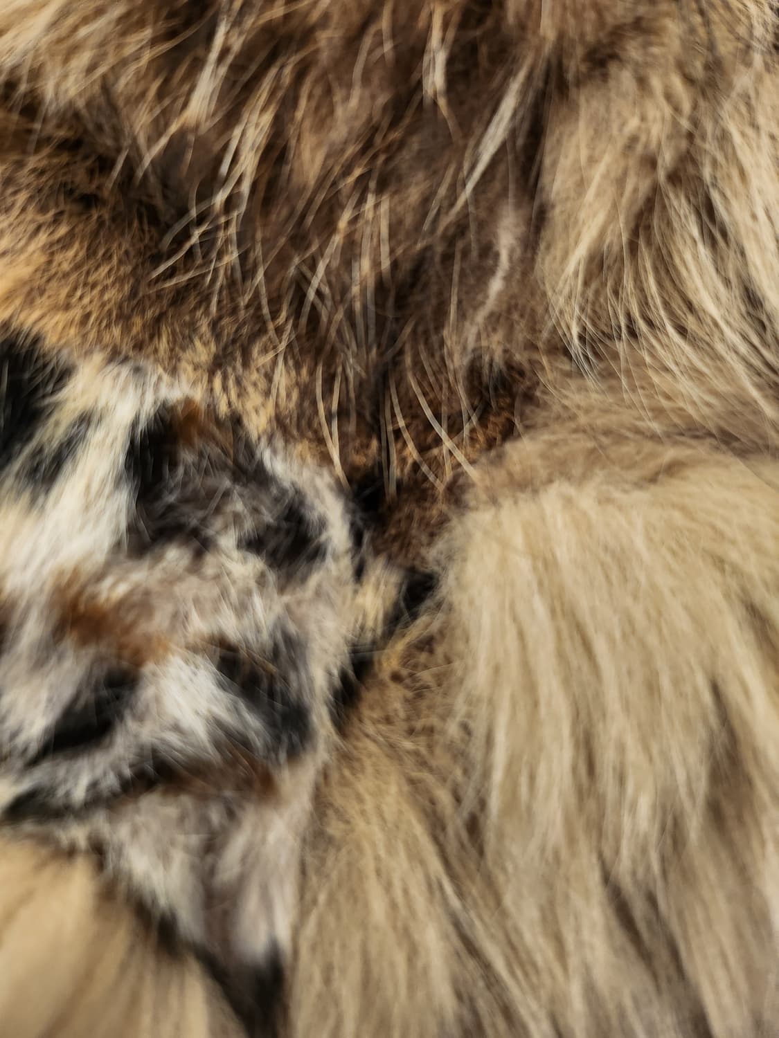 일본빈티지 goa리얼퍼베스트 상품이미지7