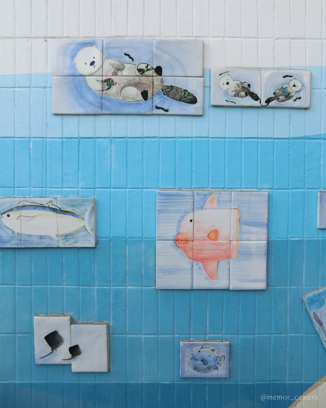 블러리작례/메이크업샷🪽CASIO EXILIM EX-H20G 카시오 디카 상품이미지6