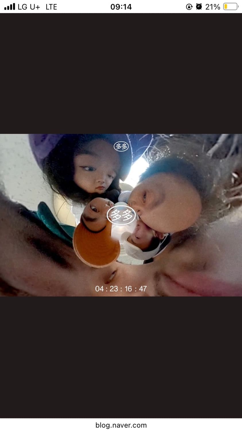 다다이즘 뉴에라 컬러팩 볼캡 9twenty 상품이미지3