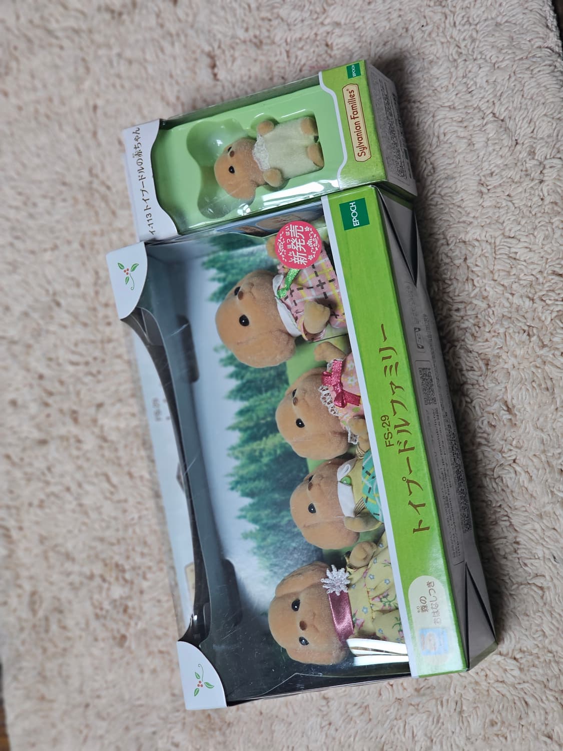 실바니안 토이푸들 패밀리 판매합니다 상품이미지1