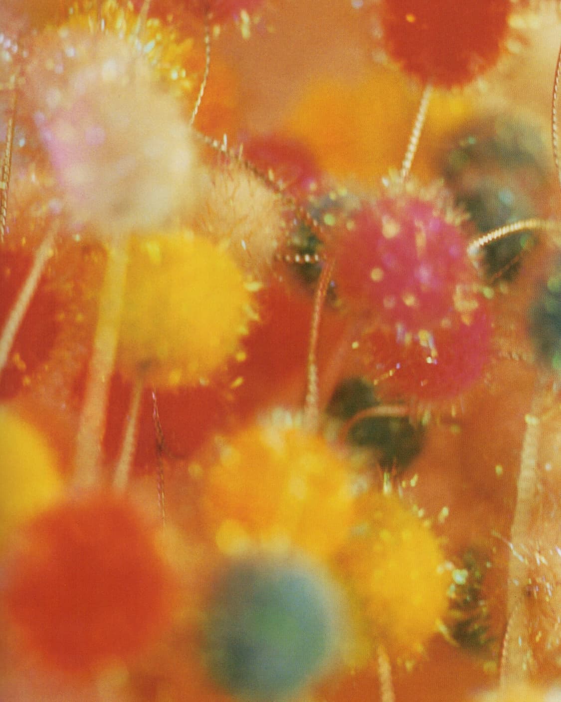 월간 엔도 쿠미코 (2003) 니나가와 미카 사진집 일본서적 희귀서적 상품이미지5