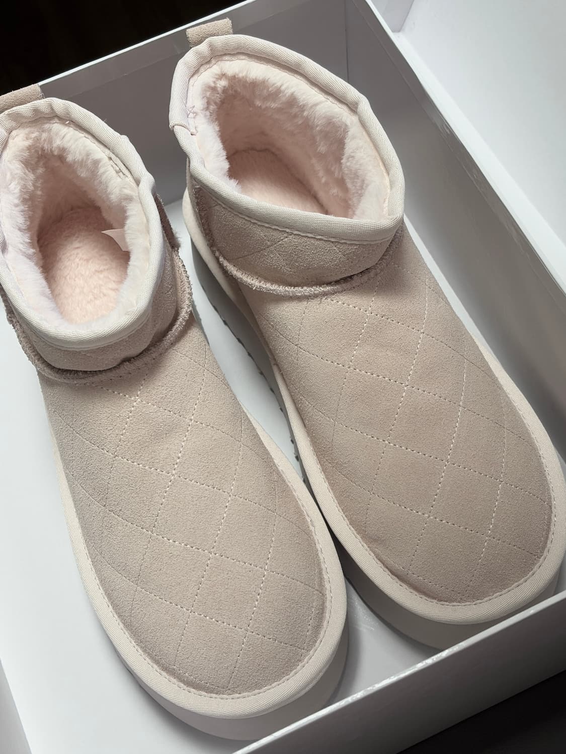 클리시어 어그 250 상품이미지2