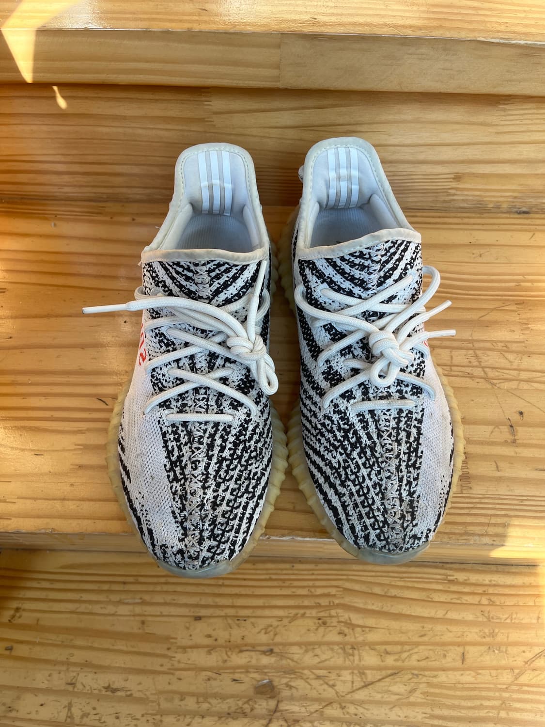 이지부스트 지브라 상품이미지1