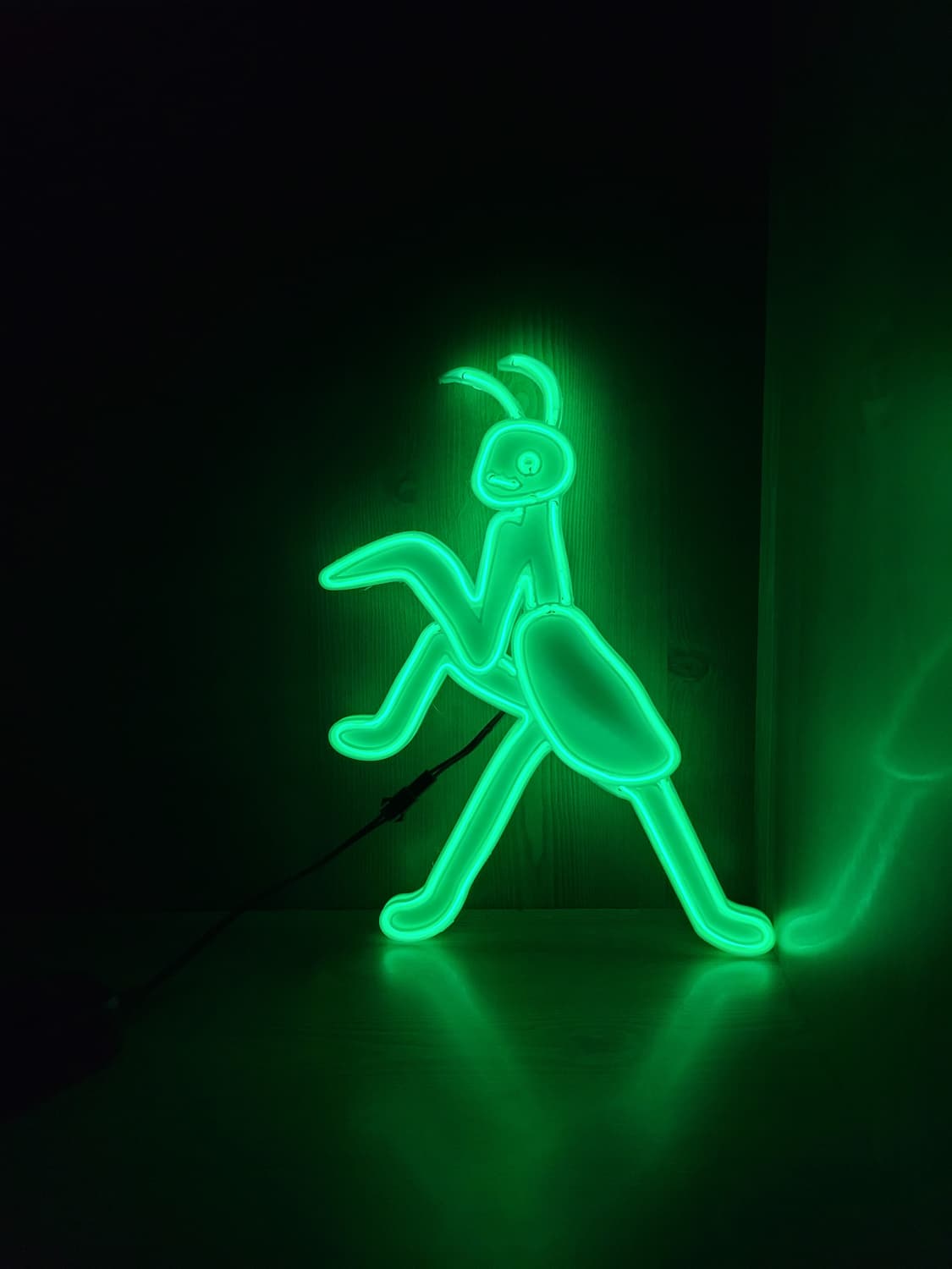 사마귀 네온사인 조명 led 램프 무드등 상품이미지4