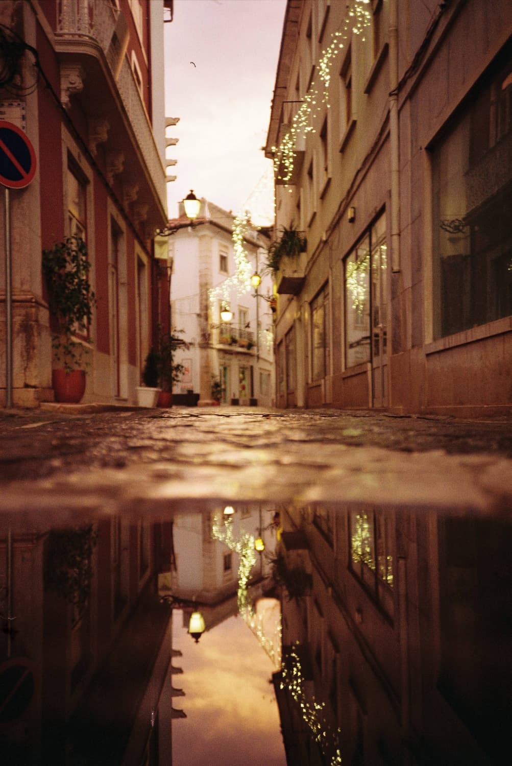 작례O 소장품 할리나 마이크로 35 필름카메라 빈티지 필카 상품이미지3