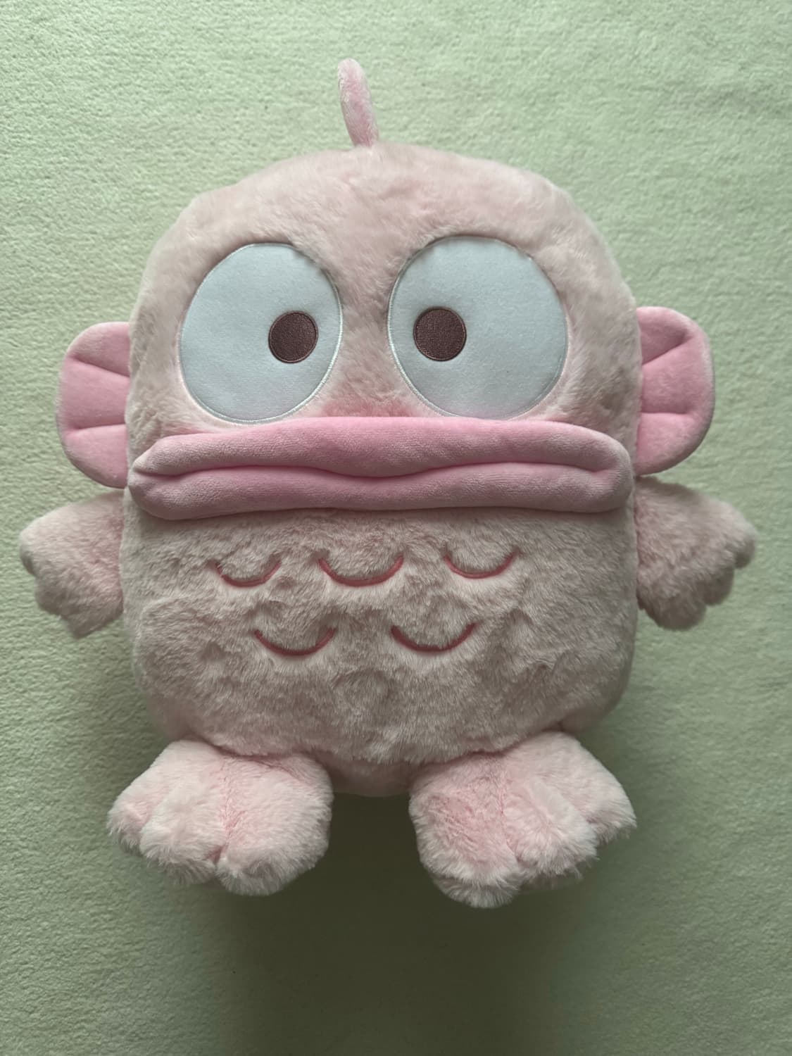 500개한정 핑크한교동 상품이미지1