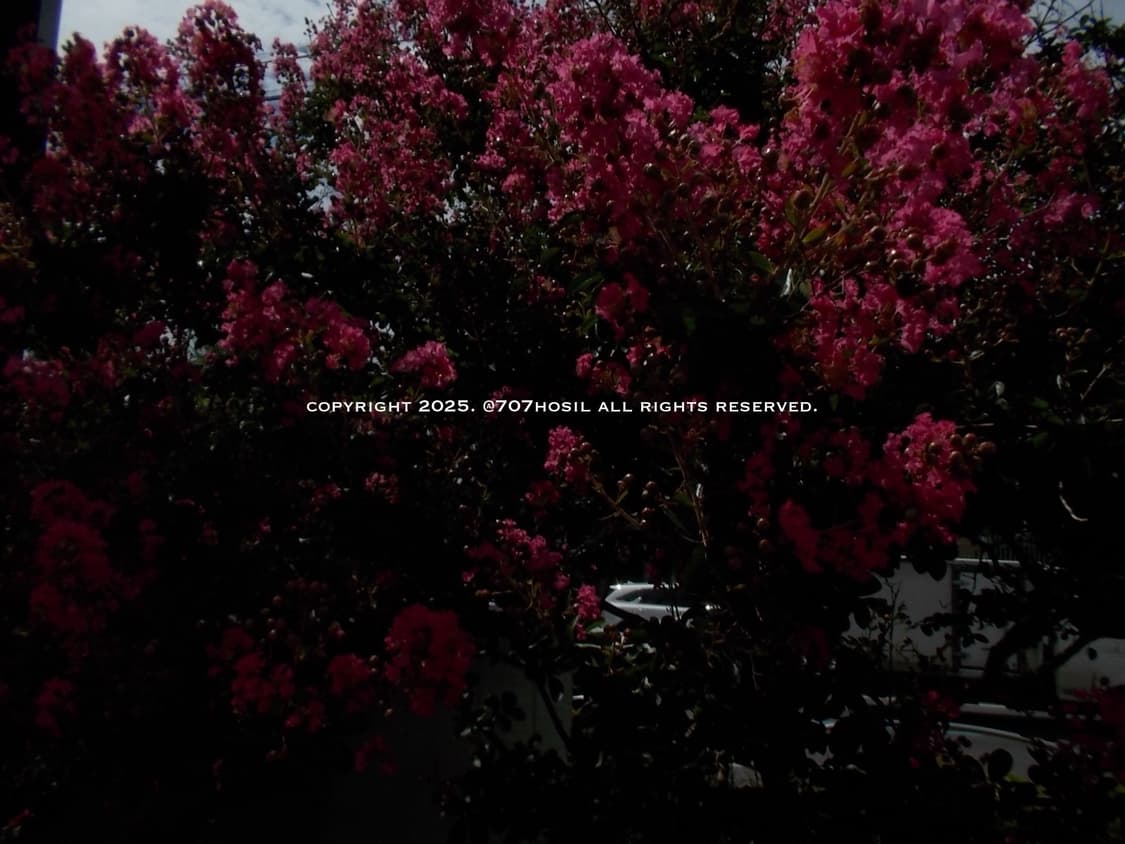 NIKON COOLPIX 니콘 쿨픽스 S01 베이비 디카 상품이미지7