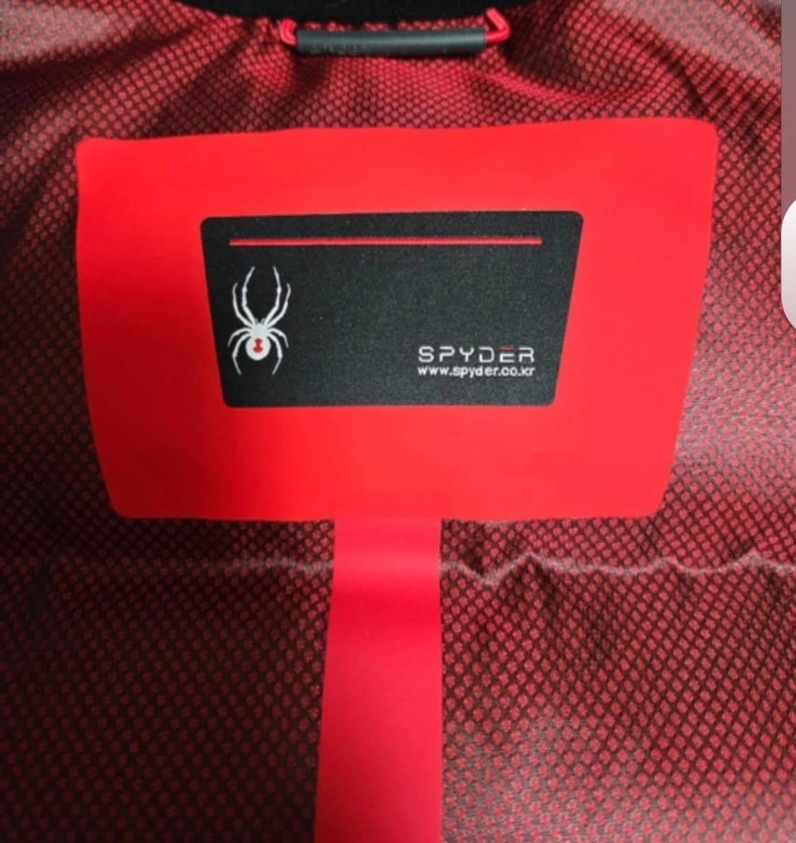 스파이더 다운 점퍼 상품이미지8