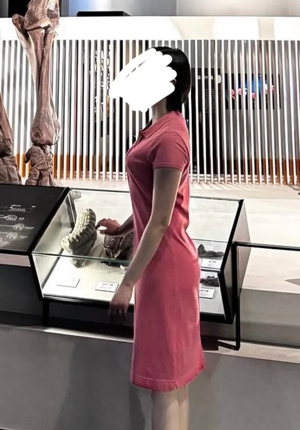 라코스테 카라 원피스 상품이미지8