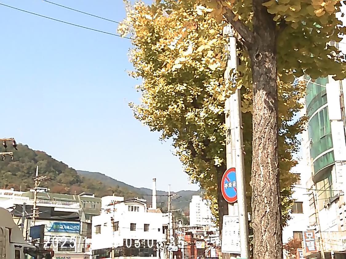 매뉴얼 홀로카메라 핑크색 상품이미지7