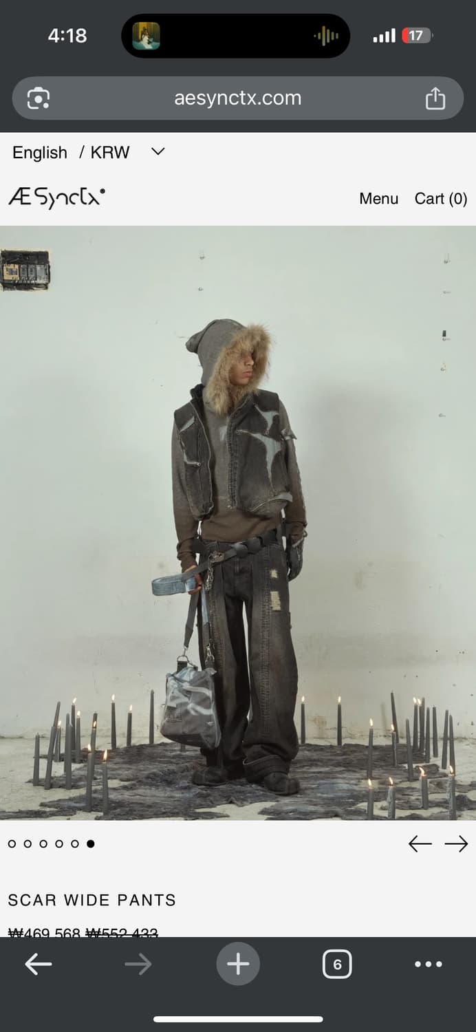 Aesynctx SCAR WIDE PANTS L 상품이미지9