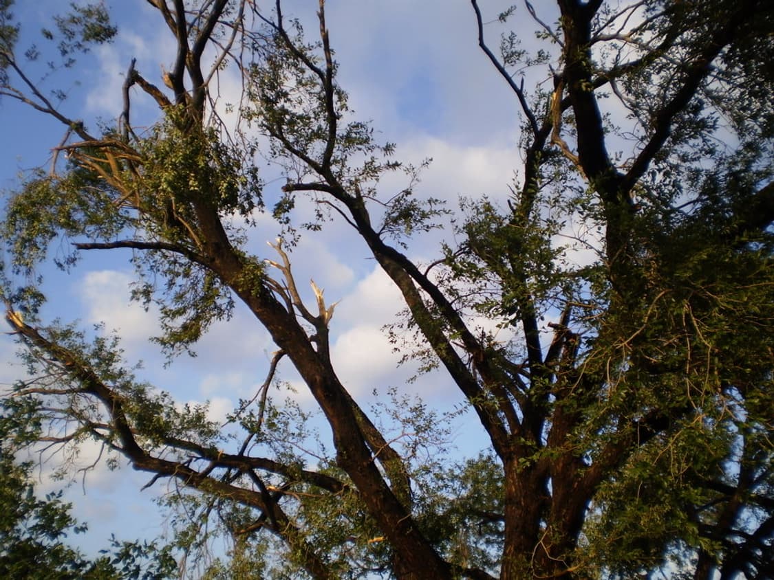 올림푸스 Olympus FE-25 실버 상품이미지2