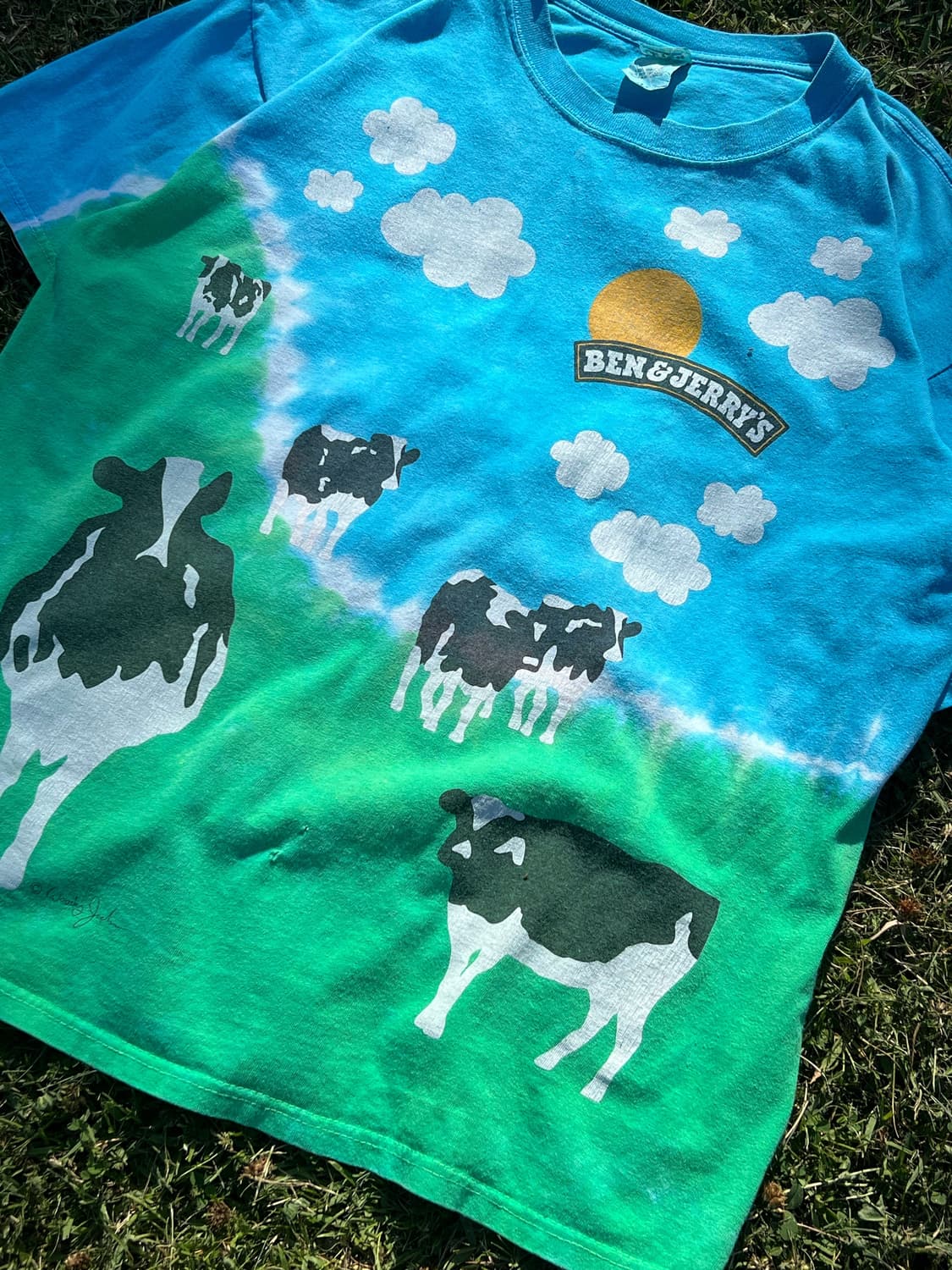Ben&jerrys Anvil 00s T shirt 상품이미지3