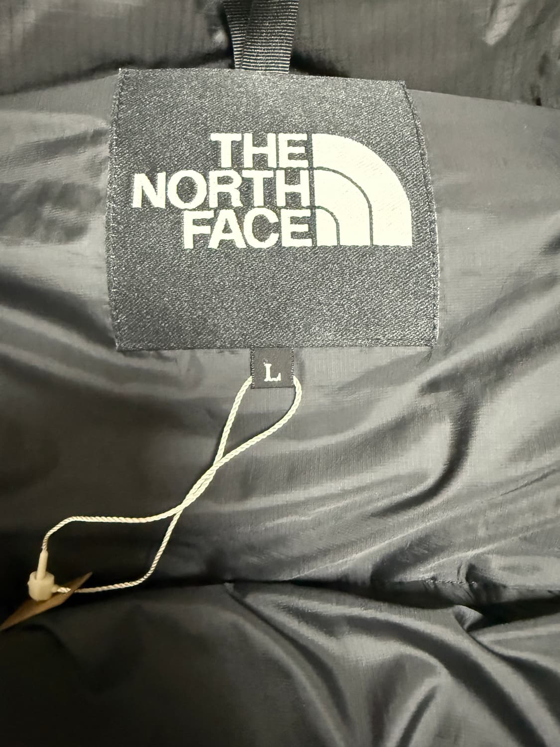 노스페이스 골드윈 일본판 다운 자켓 L 상품이미지4