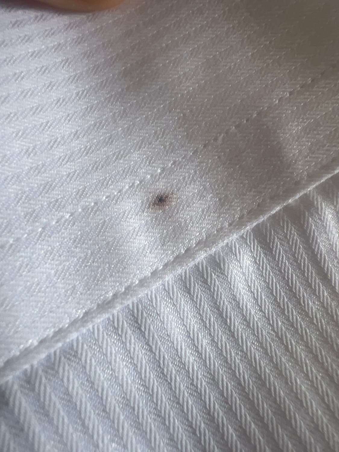 랑방 컬렉션 드레스 셔츠 상품이미지3