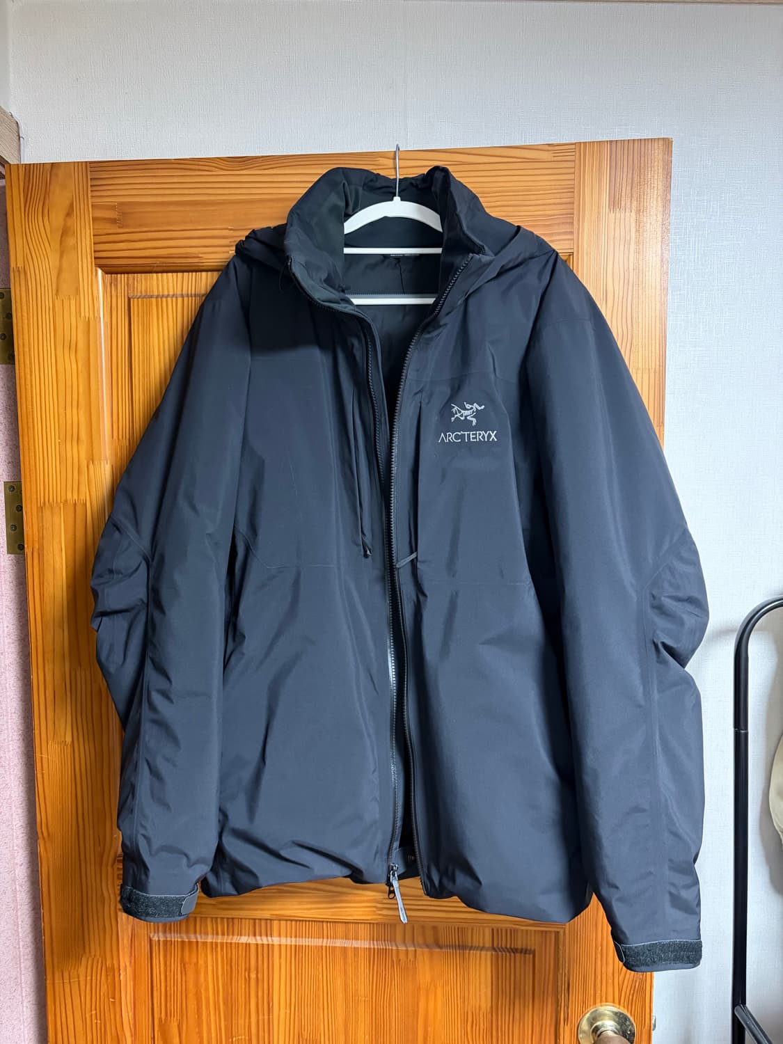 아크테릭스 피션 sv 상품이미지1