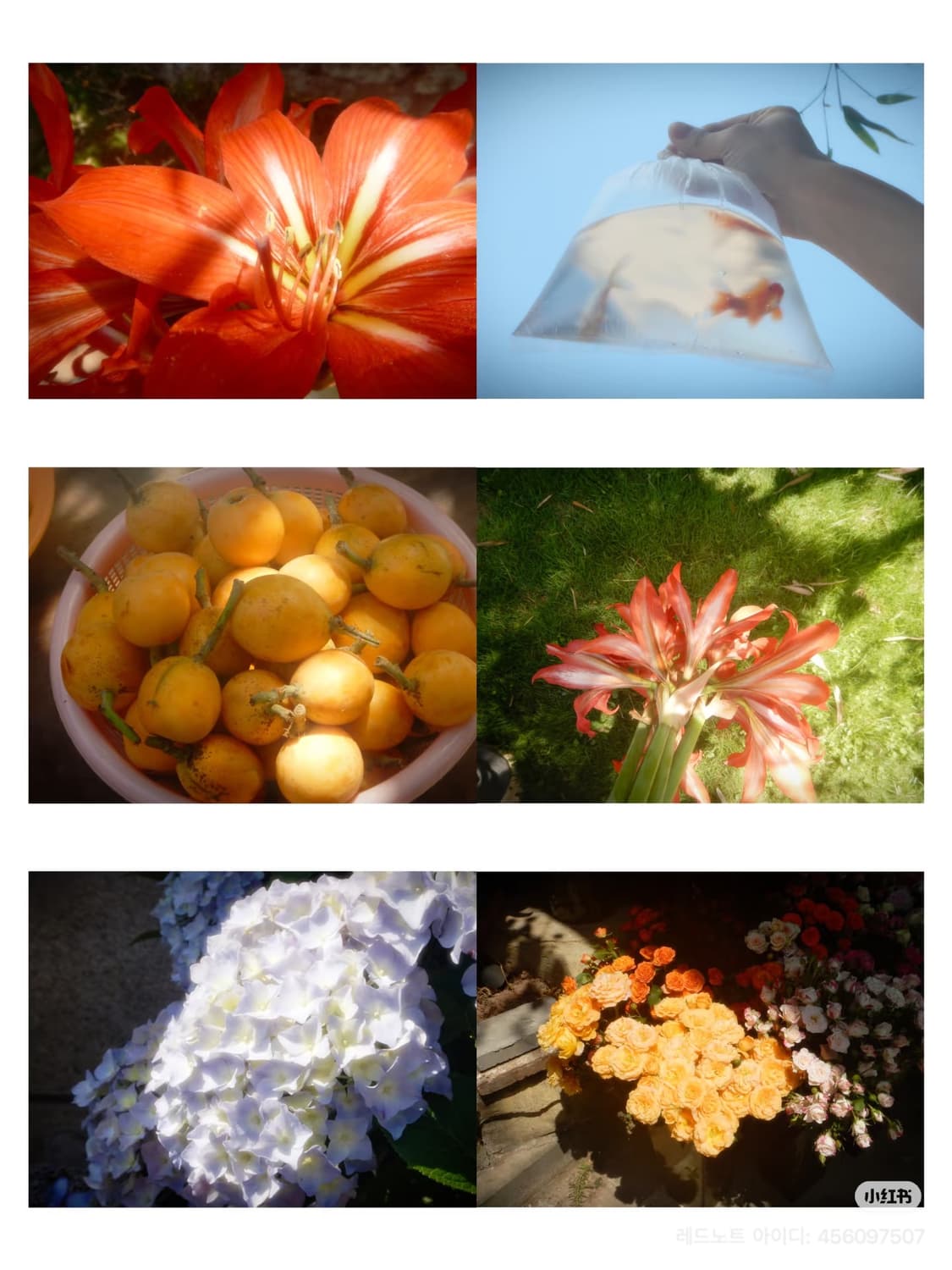 민트급 풀박) Nikon Coolpix aw110 니콘 쿨픽스 상품이미지5