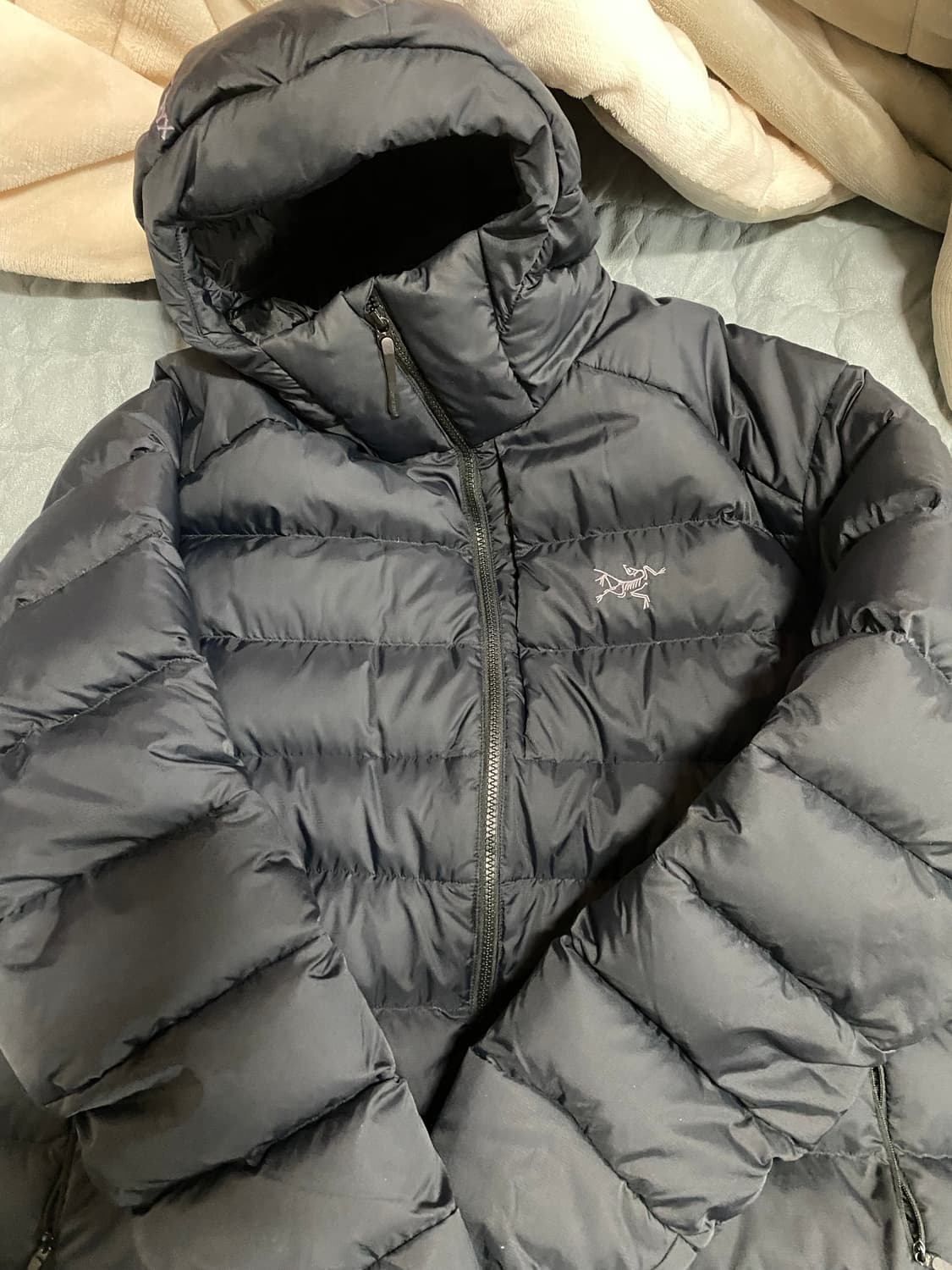 아크테릭스 토륨 후디XL 상품이미지2