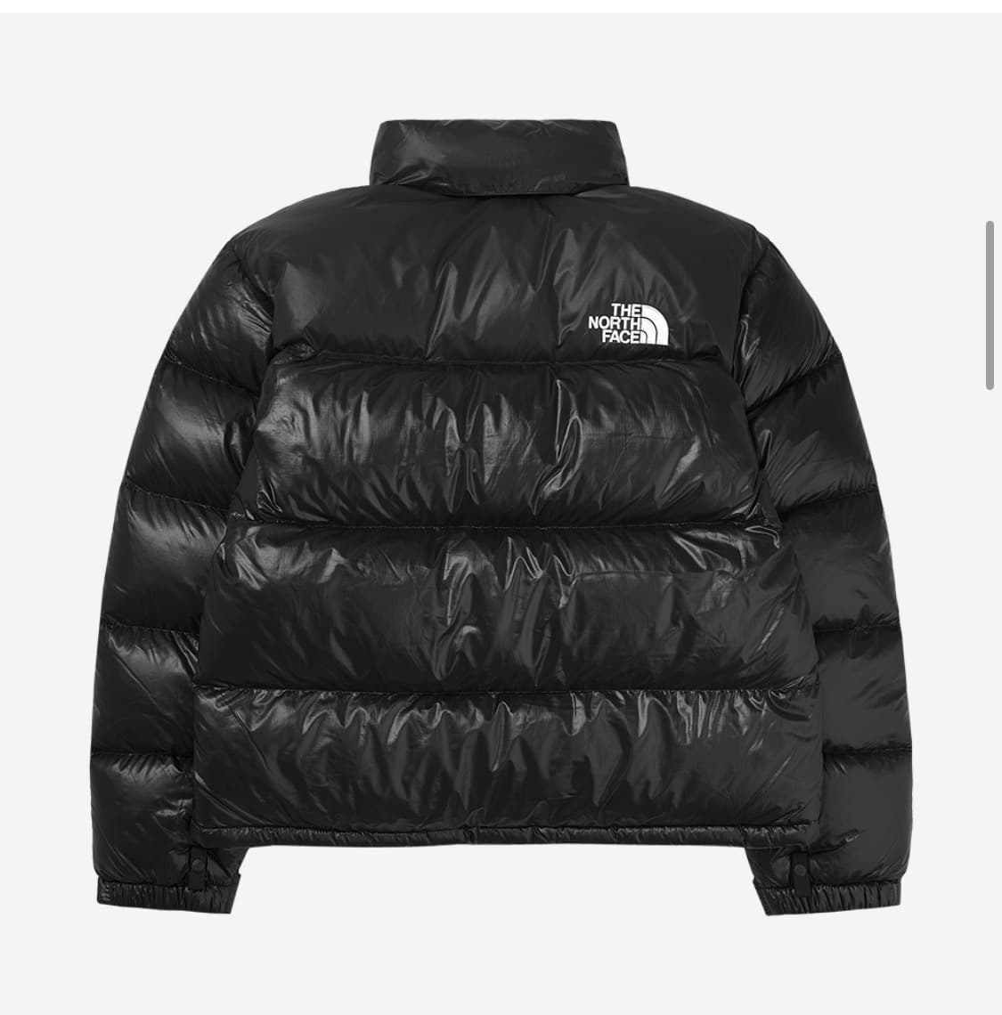 M 새상품 급처) 노스페이스 퀀텀 눕시 RDS 자켓 상품이미지3