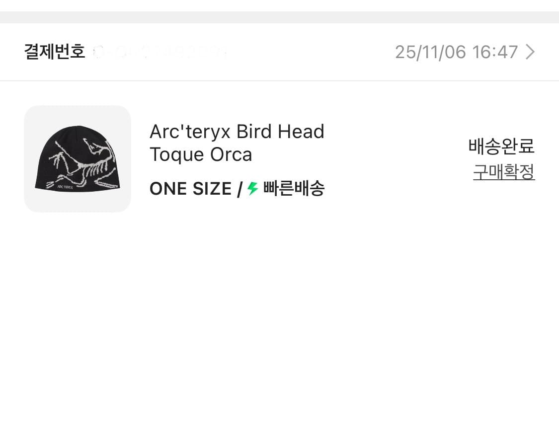 아크테릭스 비니 상품이미지2