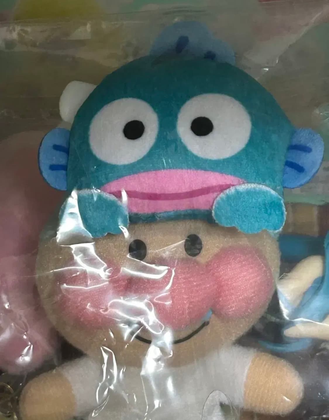 [미개봉 새상품 3종] 산리오 한교동 누이 얼굴 뱃지 상품이미지5