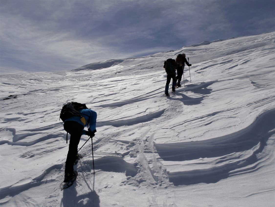 (슈퍼줌/한국어⭐️) 올림푸스 Olympus VR-360  상품이미지7