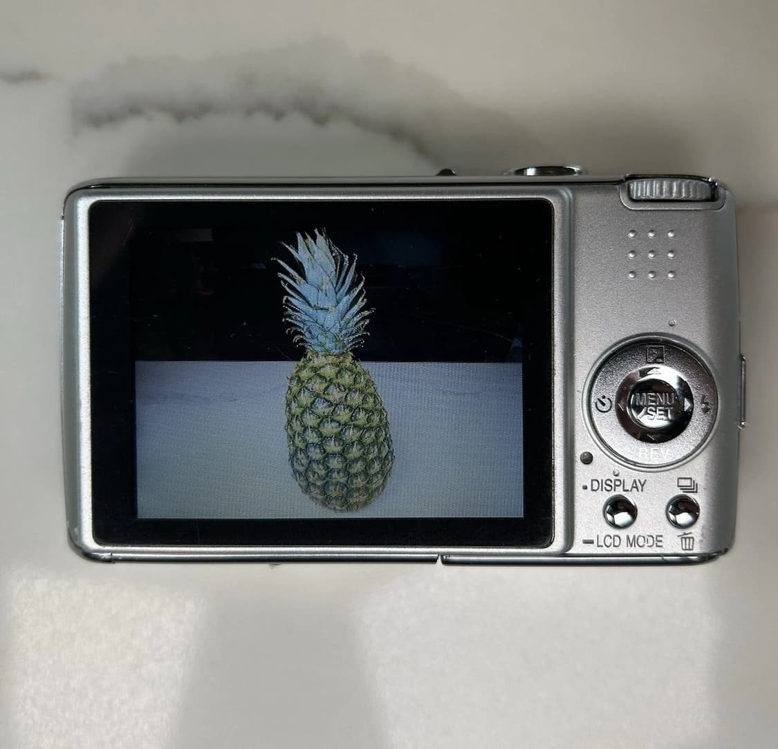 파나소닉 루믹스 DMC-FX01 라이카 렌즈 디카  판매 상품이미지4