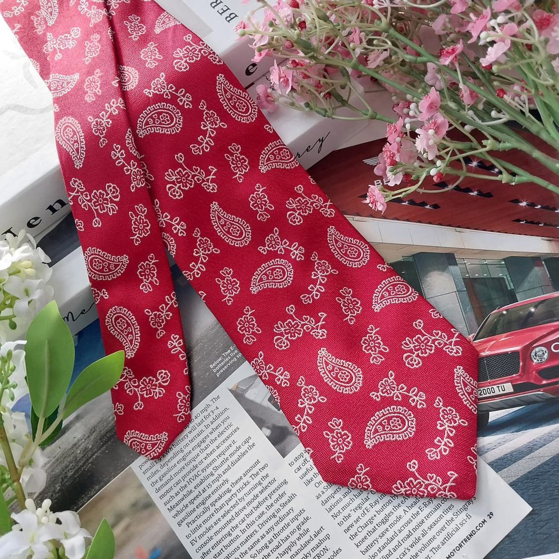 알테아 실크 레드 페이즐리 자카드 넥타이 9.6cm A+등급 K1438
 상품이미지3