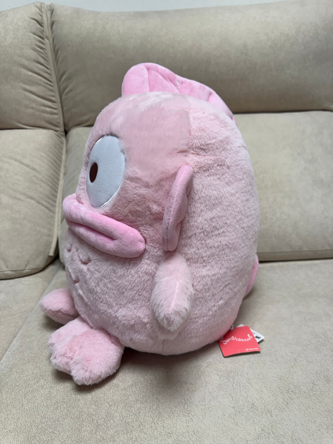 핑크한교동 상품이미지5