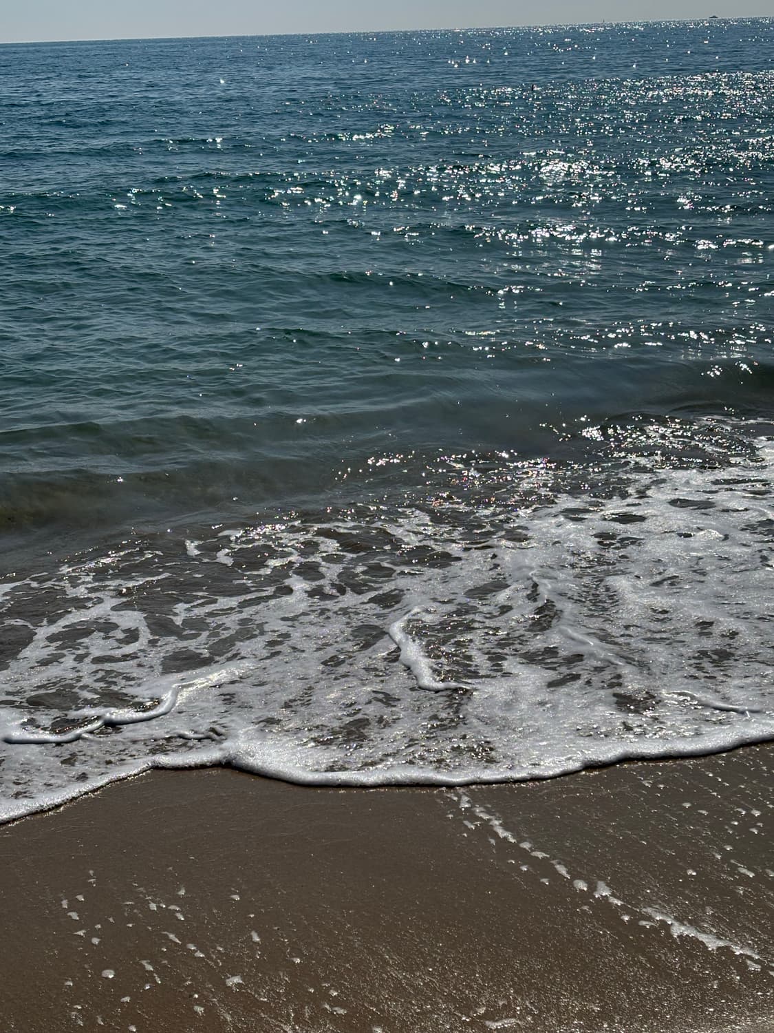 예약판매 상품이미지1