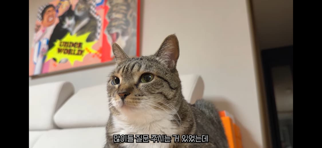 루마니아 특산품 판매 상품이미지1