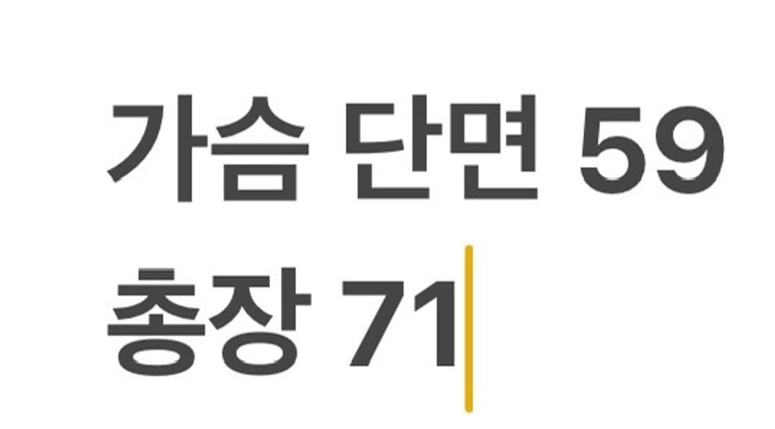 [정품/L] 폴로 랄프로렌 럭비 셔츠 긴팔 그린 b14 상품이미지7