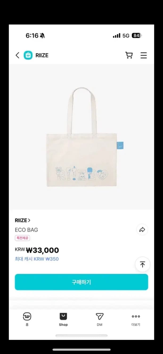 라이즈 리틀라이즈 파크 에코백 상품이미지1