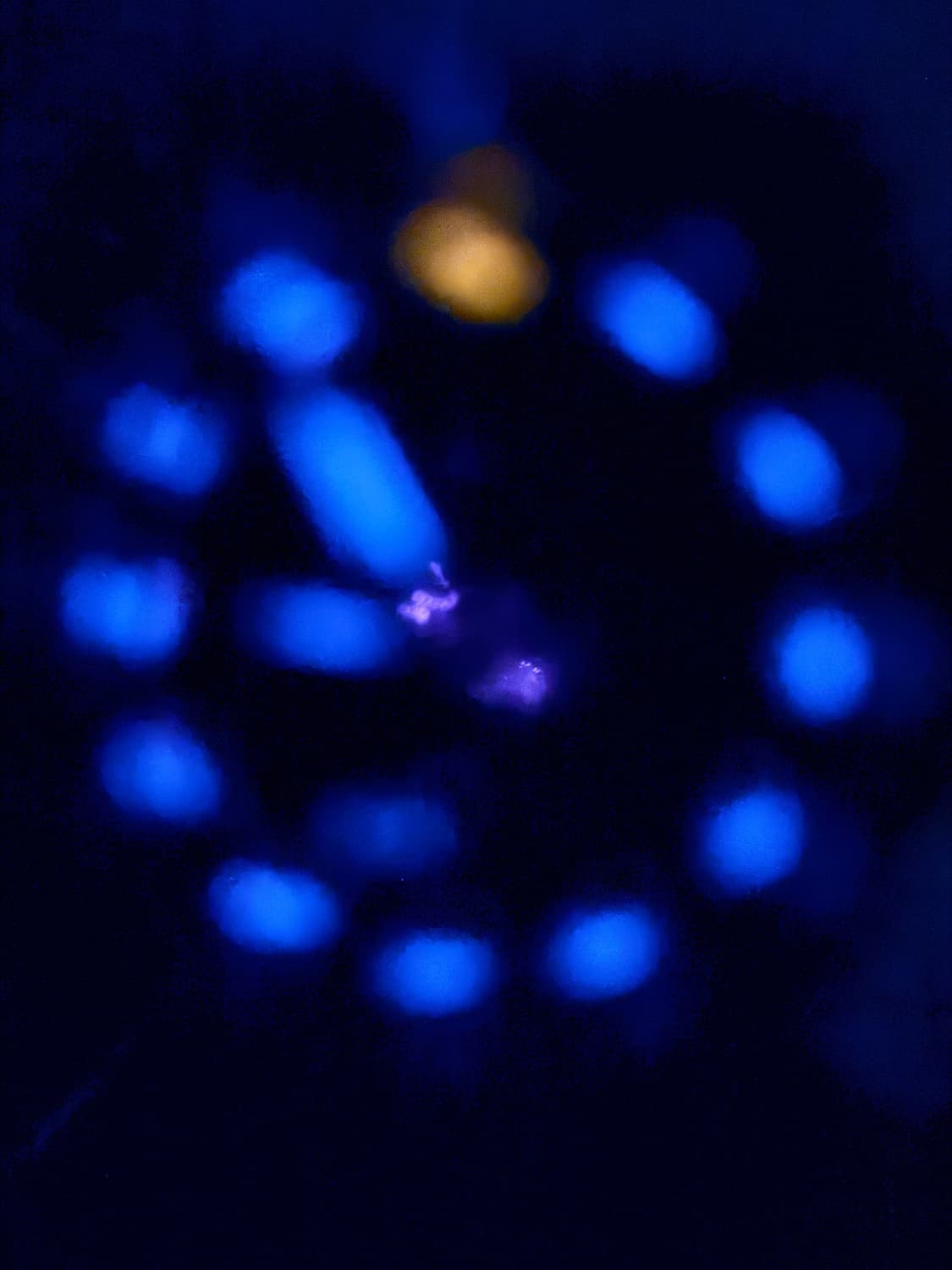 루미녹스 네이비씰 3050/3950 올블랙 상품이미지4