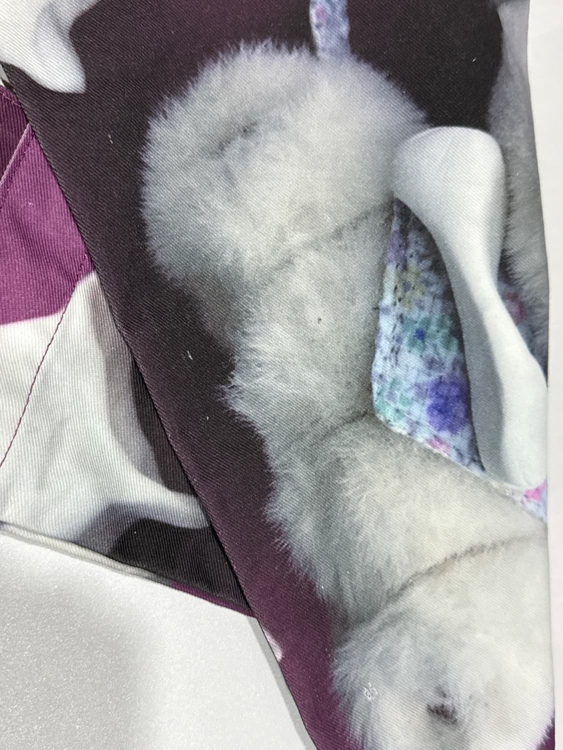 코이세이오 오후 백 초판 사은품 버전 상품이미지2