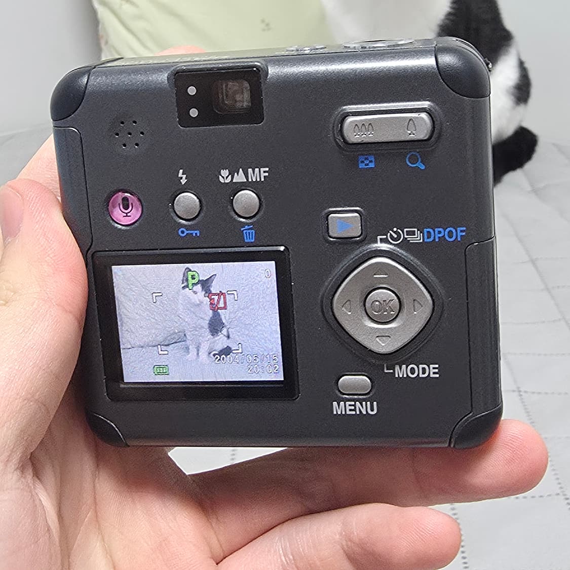 무배)Pentax Optio 43WR 판매합니다 상품이미지3