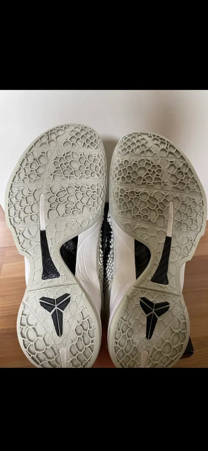 코비6 세일 상품이미지6