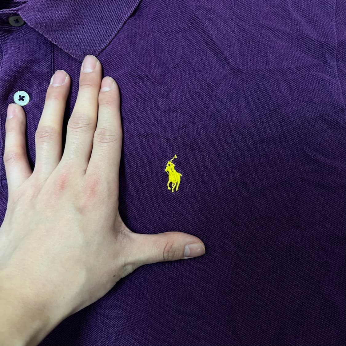 폴로 랄프로렌 PK 반팔 카라티 L/100  상품이미지3