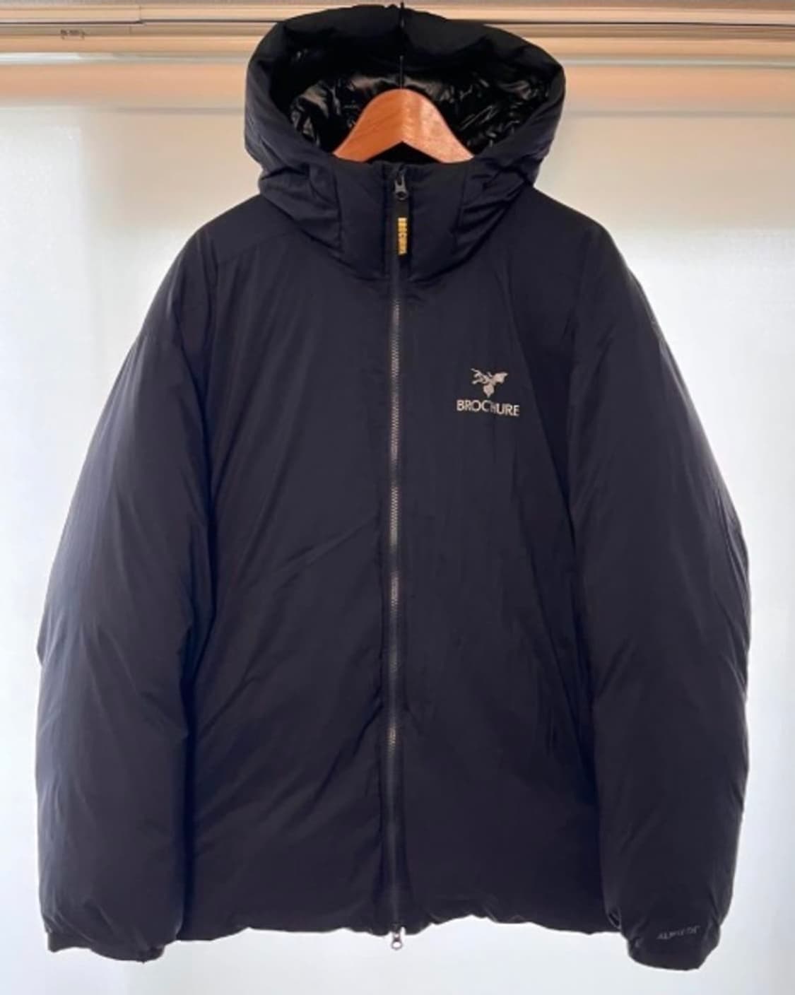 Brochure x Alwayth ARGENTUM 후디 다운패딩 L 상품이미지3