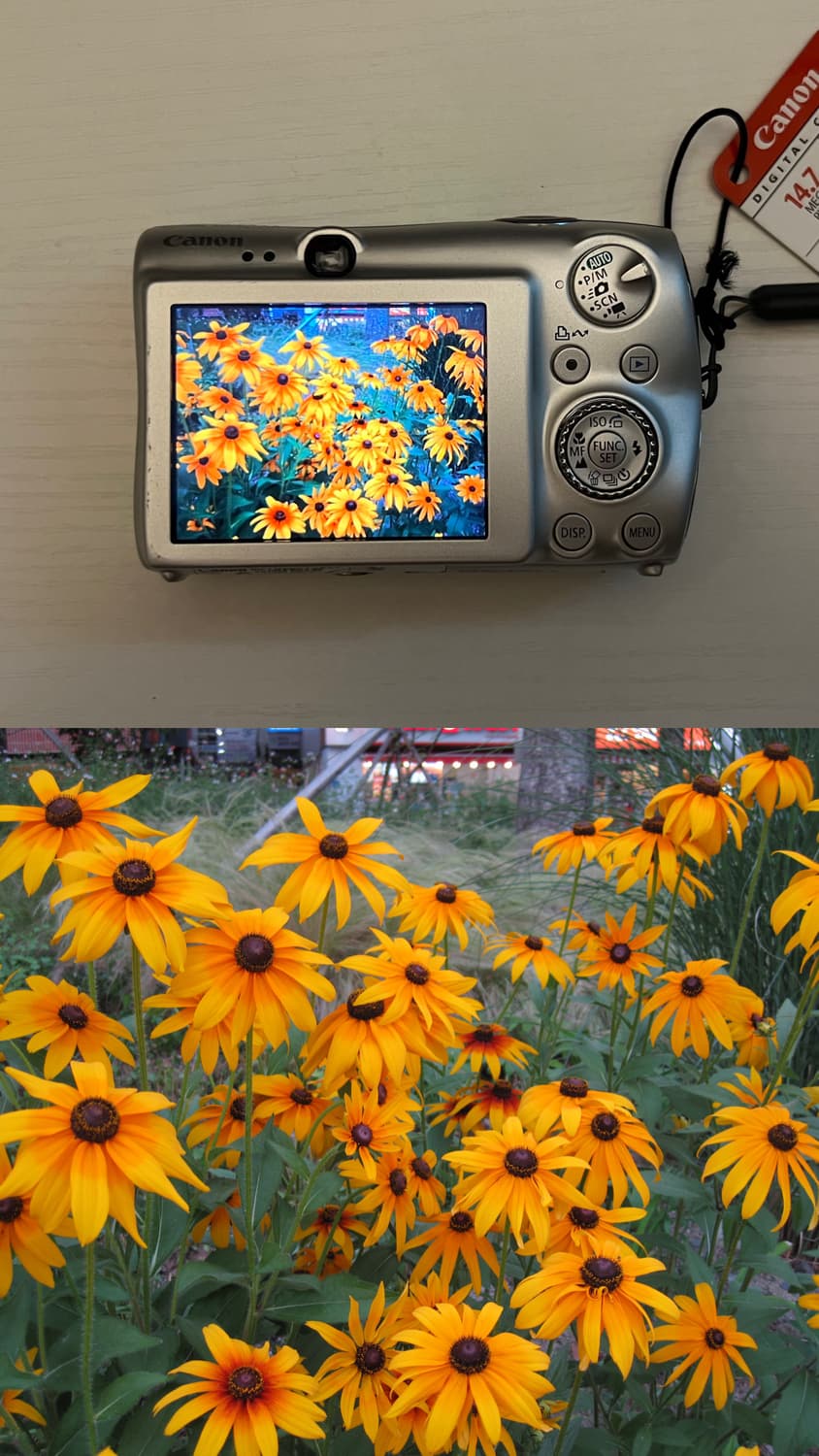 캐논 익시 캐논 익서스 980 IS(익시3000IS)  판매합니다 상품이미지7