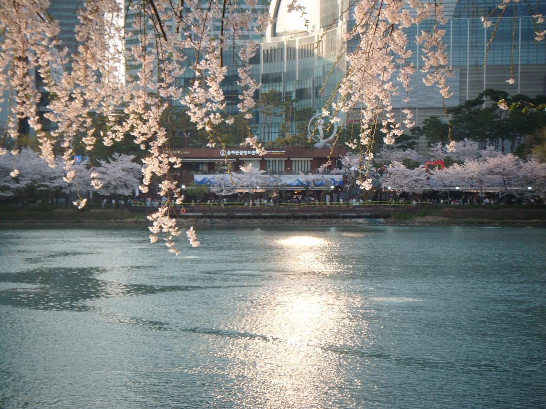 필름색감&강추!) FujiFilm Finepix T400 디카 카메라 상품이미지3