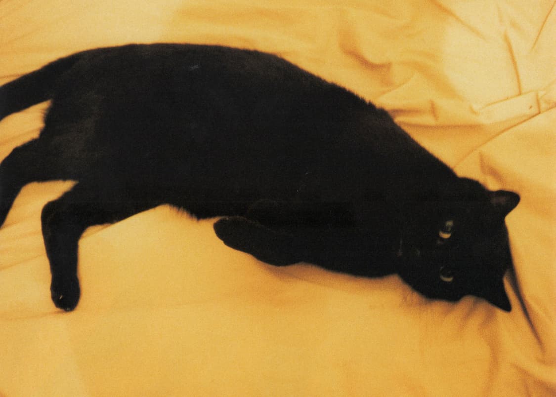 Hiromix Paris '97-'98 초판 히로믹스 사진집 포스터 동봉 상품이미지6