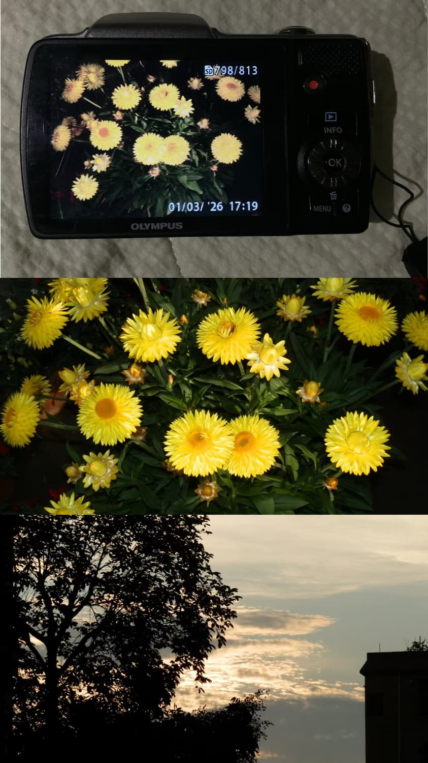 뷰티소프트필터!) 올림푸스 SZ10 필카느낌 하이엔드 빈티지디카 상품이미지10