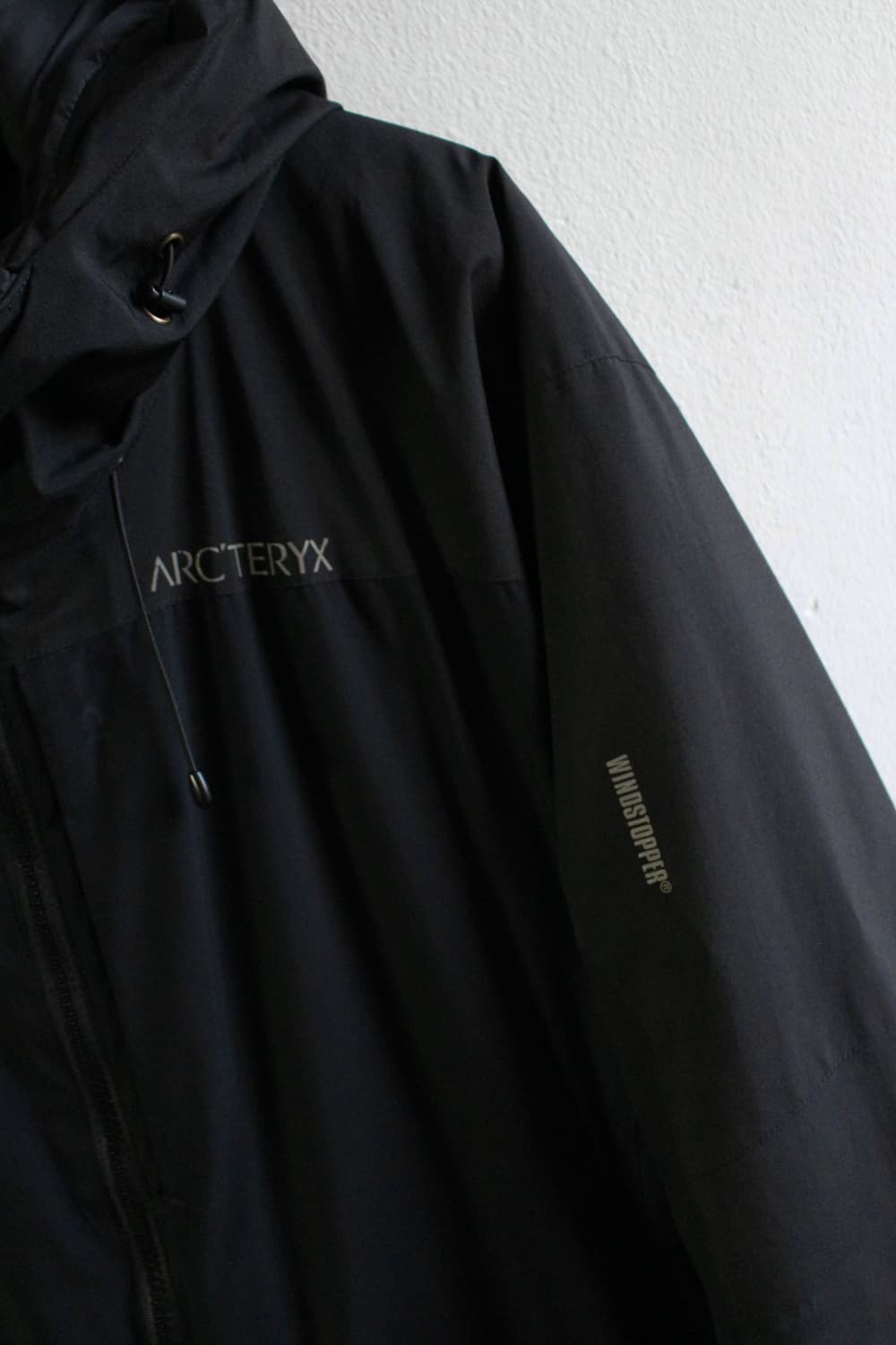 아크테릭스 피션 LT 후디 자켓 상품이미지4